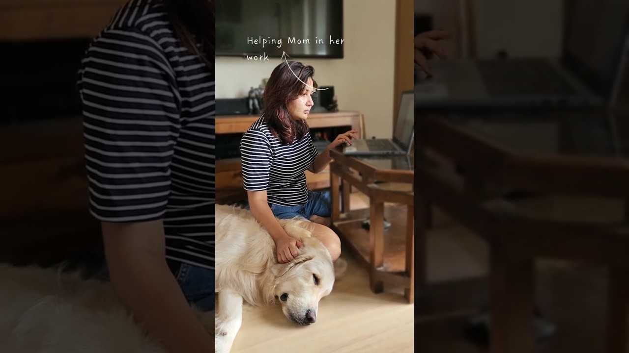 POV: Мой пёс решил, что сегодня он главный герой этого видеоблога 🎬🐶