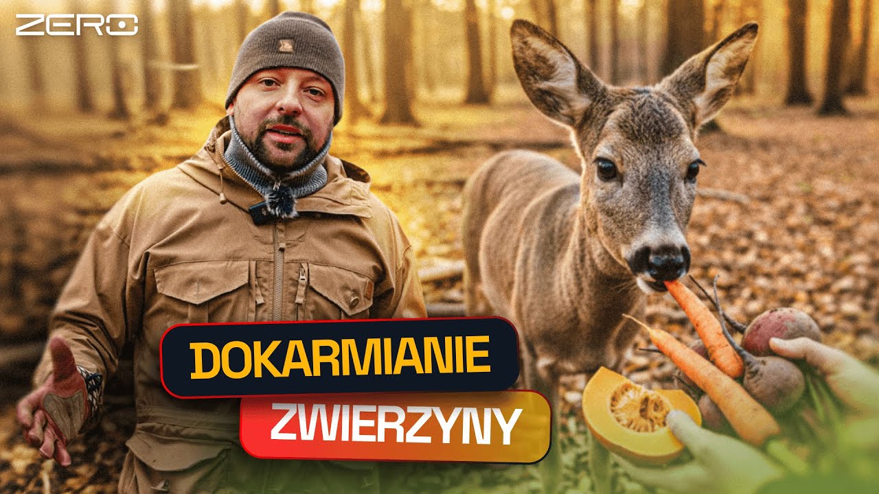 DLACZEGO NIE WARTO DOKARMIAĆ ZWIERZĄT ZIMĄ? | GATUNEK ZERO #78