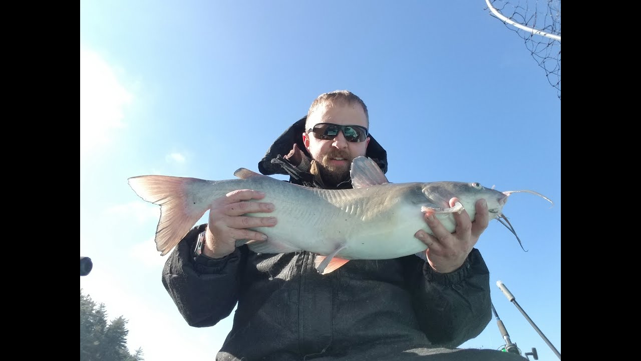 Winter Catfishing at Lake Rhodhiss NC.