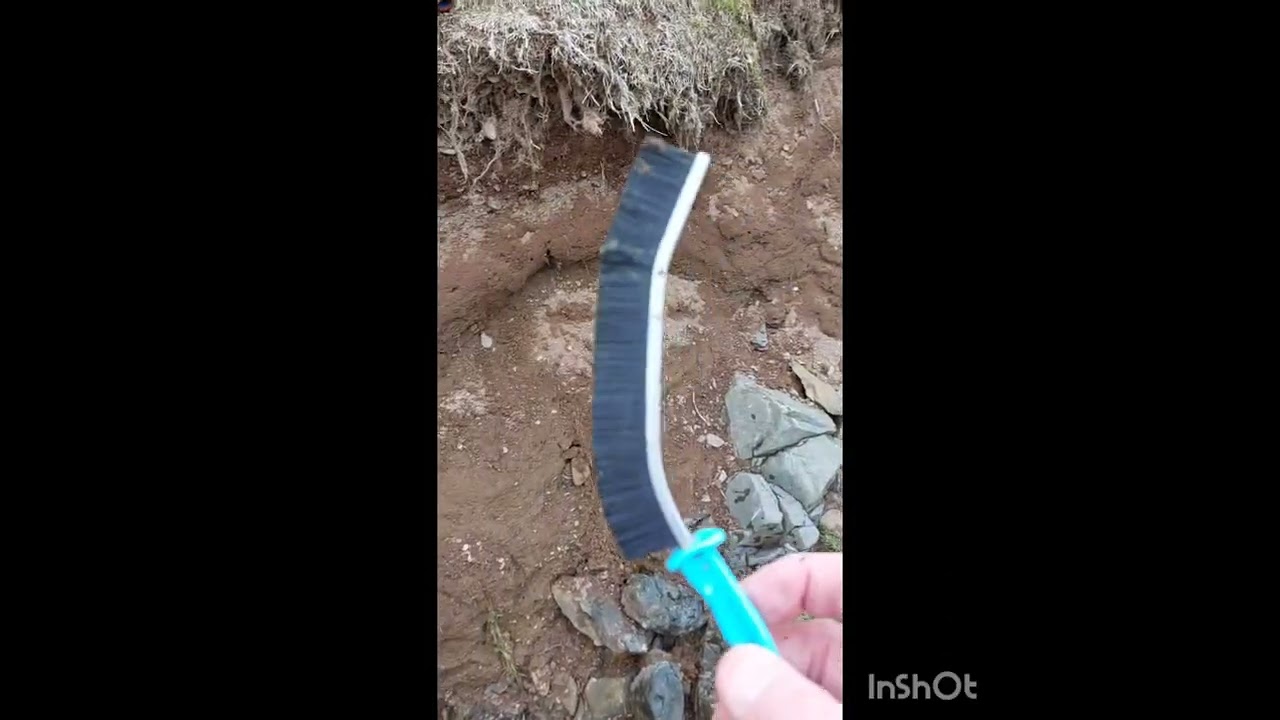 Grey clay crevicing for Scottish gold