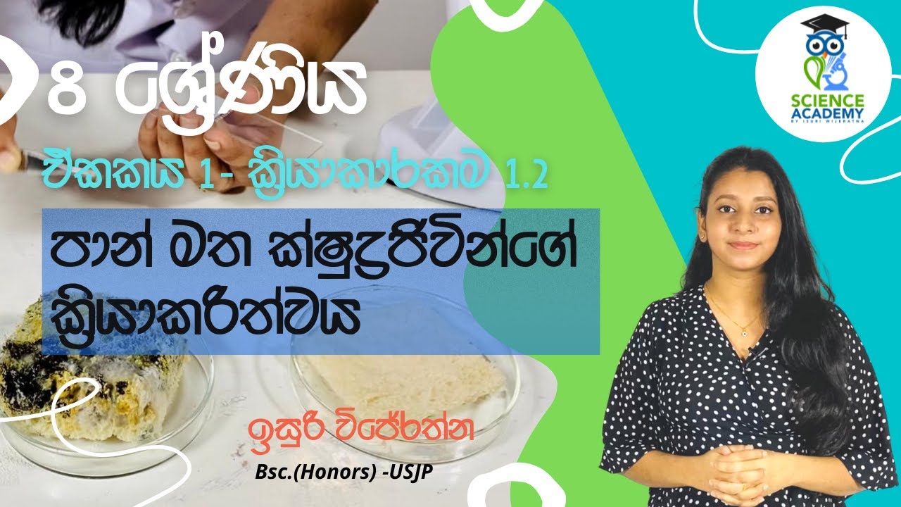 Grade 08 - Lesson 01- Activity 1.2 - Microbial effect on bread - Sinhala Medium