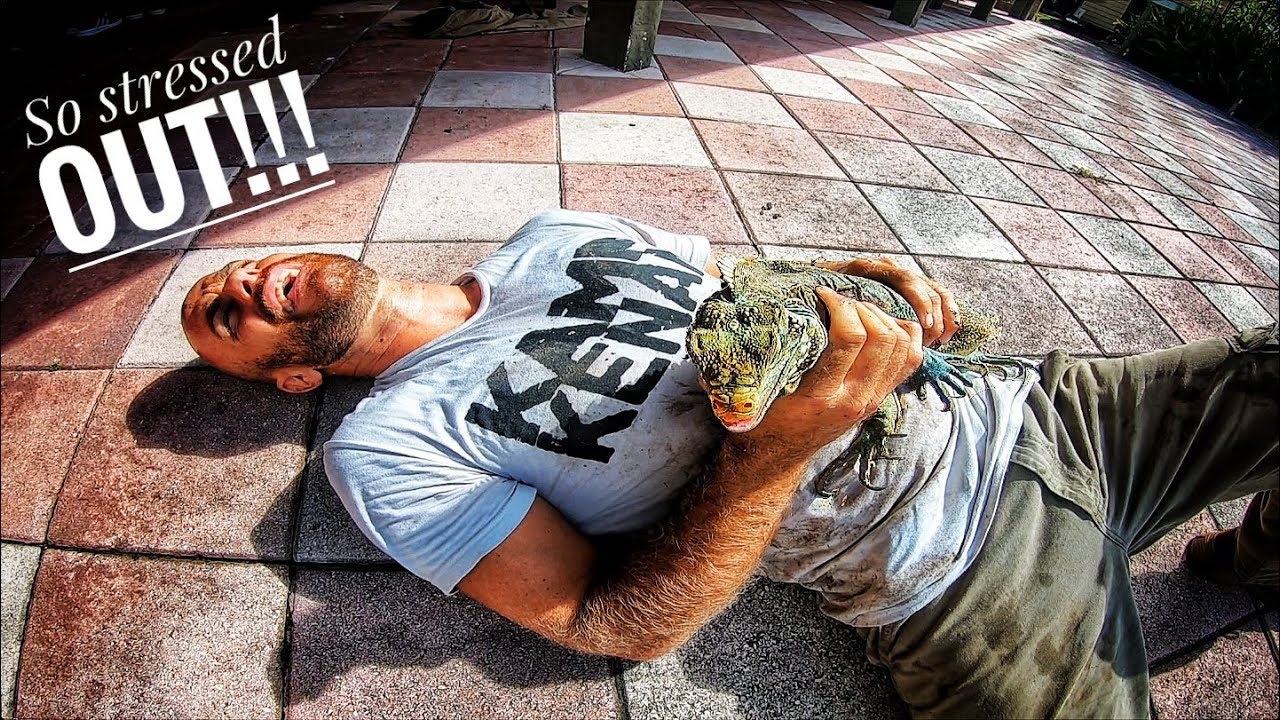 Prepping All my Reptiles for a MASSIVE Hurricane!