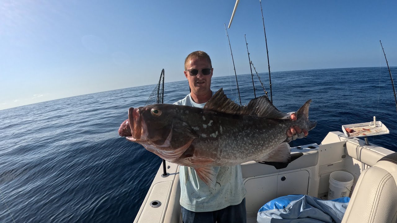 Is THIS Reel The Cheapest and Most Affordable Electric Reel for Deep Dropping? *Catch, Clean & Cook*