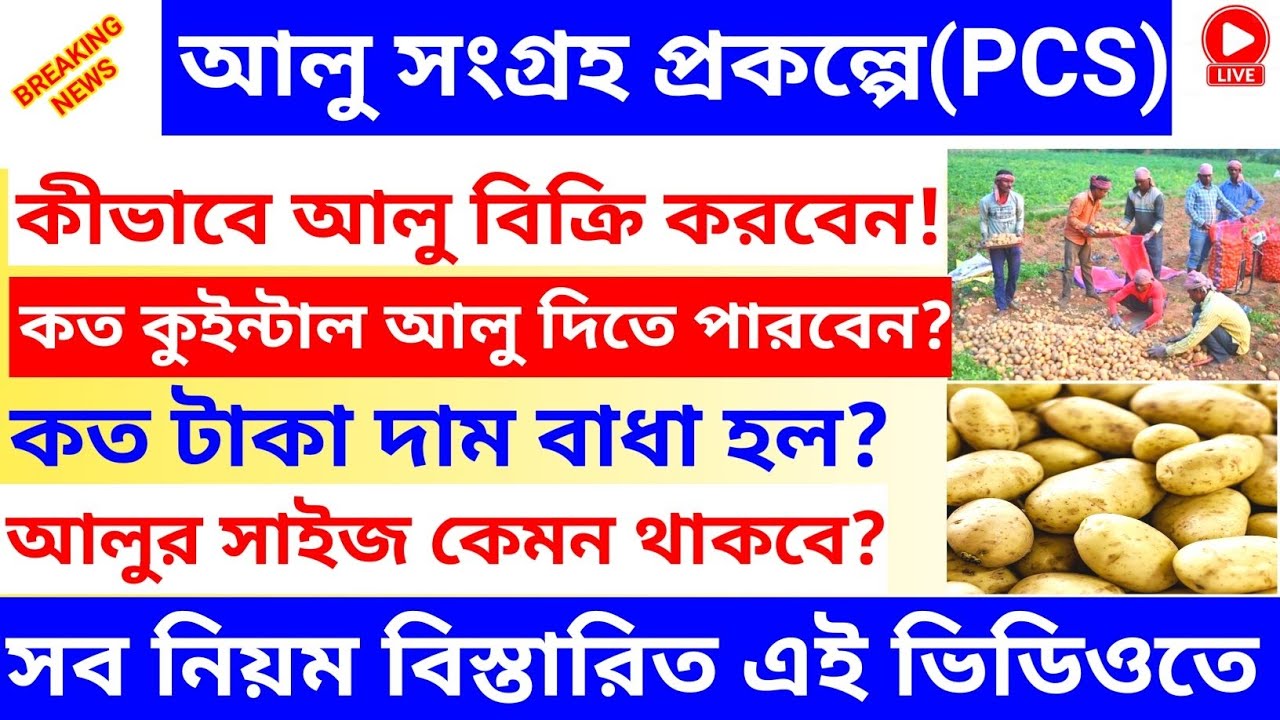 আলু সংগ্রহ প্রকল্প (PCS) 2026 | কীভাবে আলু বিক্রি করবেন? কত কুইন্টাল নেওয়া হবে ও দাম কত?