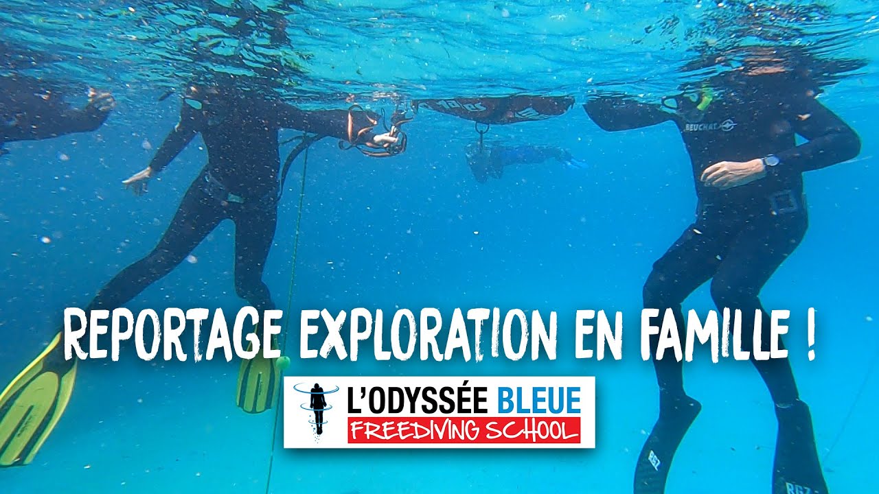 Découvrez l'Apnée en explorant les fonds marins avec l’École de l’Odyssée Bleue de Stéphane MIFSUD