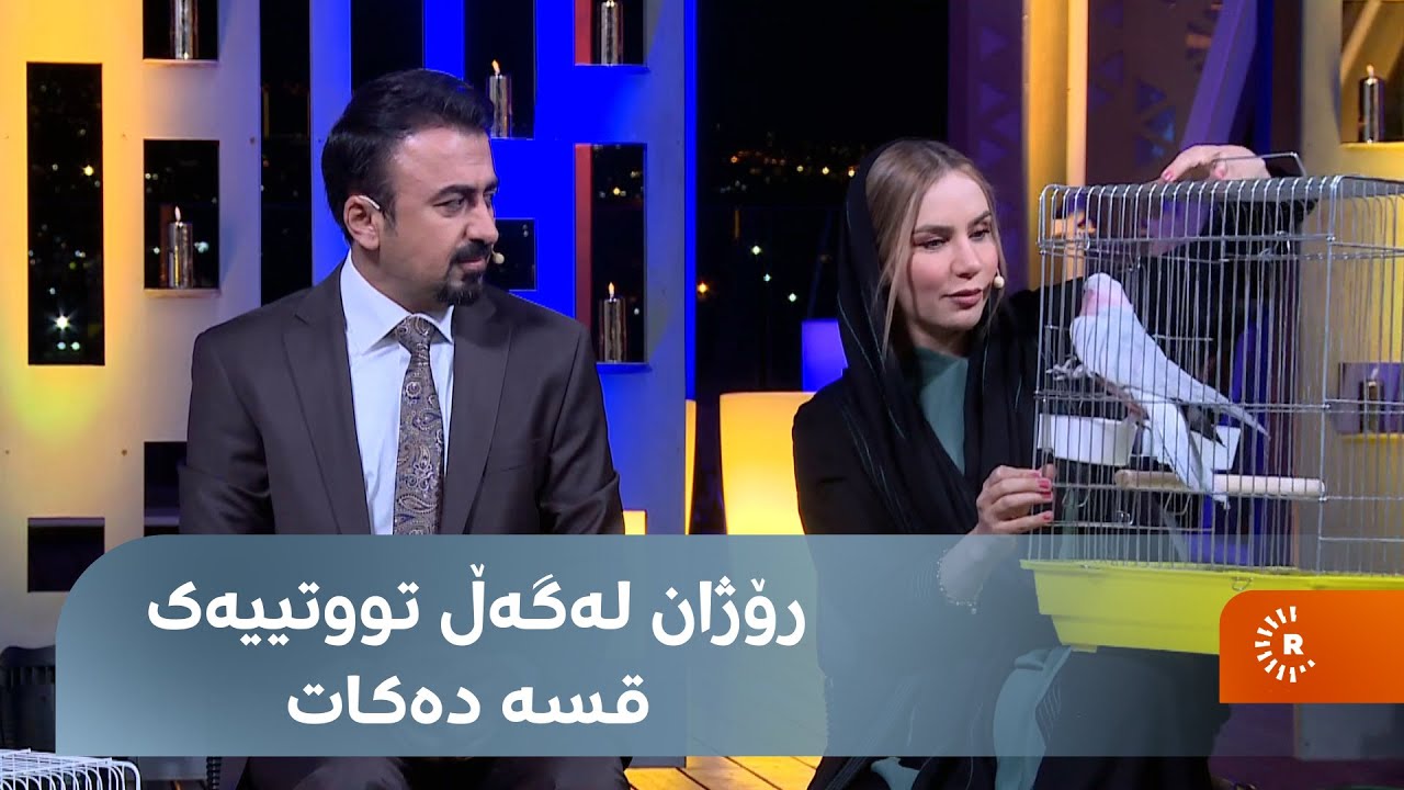 ئەم تووتییانە فێری گۆرانیگوتن و قورئان خوێندنیش دەبن