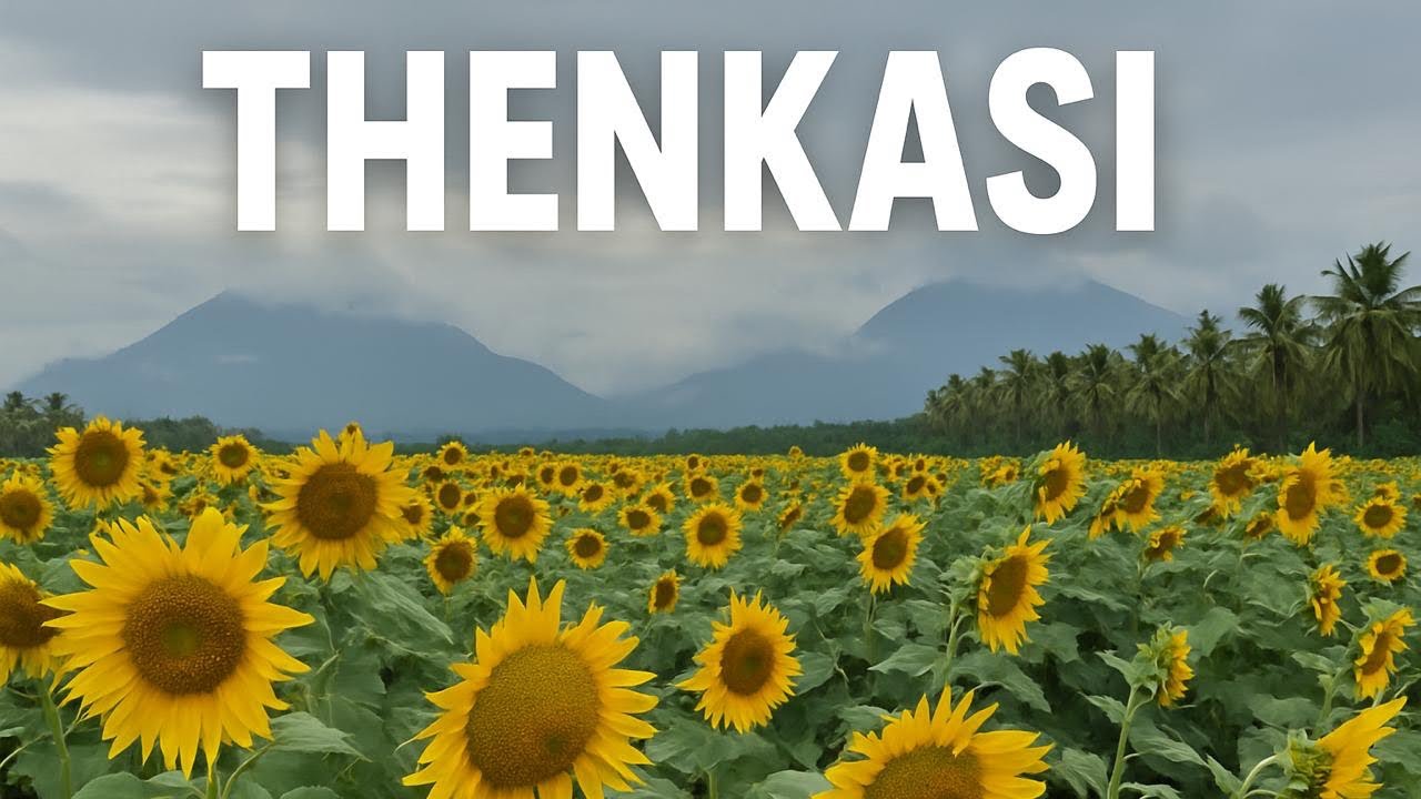 Thenkasi | Hidden Paradise in Tamil Nadu  #travel #pariyadanam 