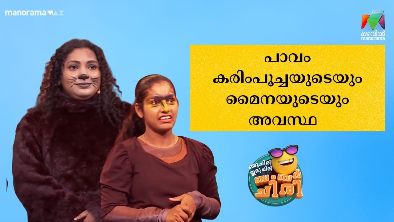 പാവം കരിംപൂച്ചയുടെയും മൈനെയുടെയും അവസ്ഥ😂💥 #OIBArchive | mazhavilmanorama