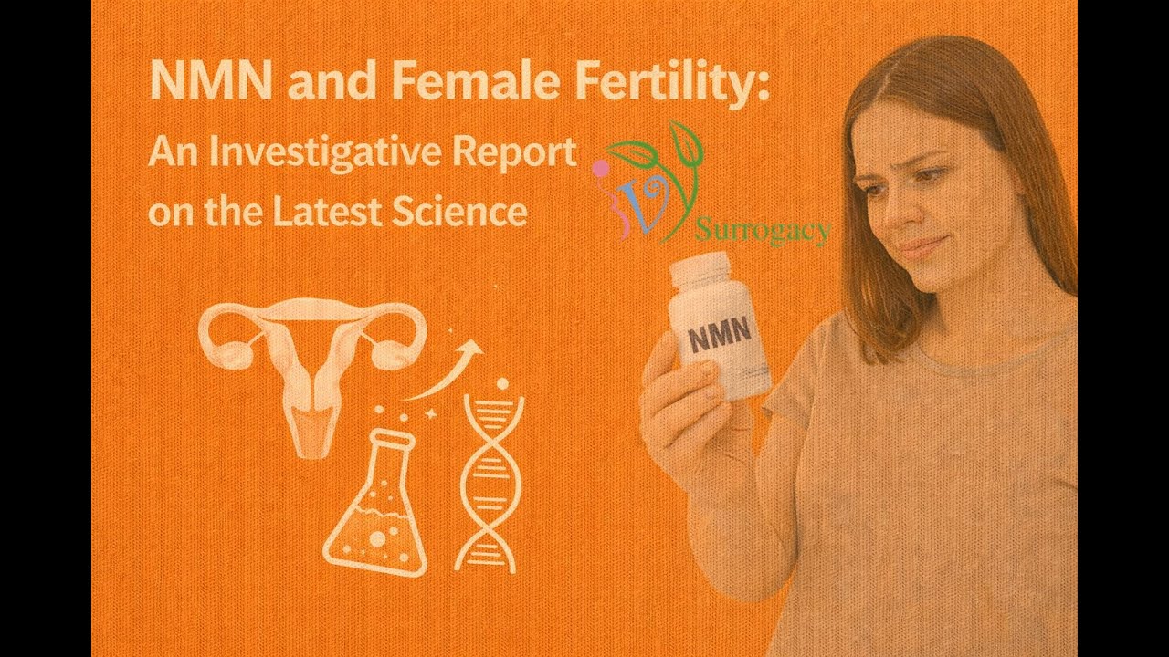 NMN and Female Fertility: An Investigative Report on the Latest Science