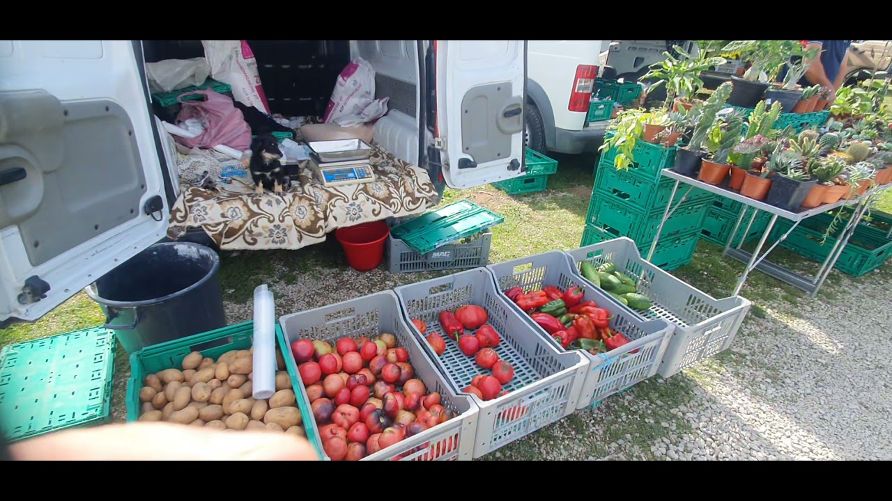 na feira dos 7 e dos 23 em coimbra