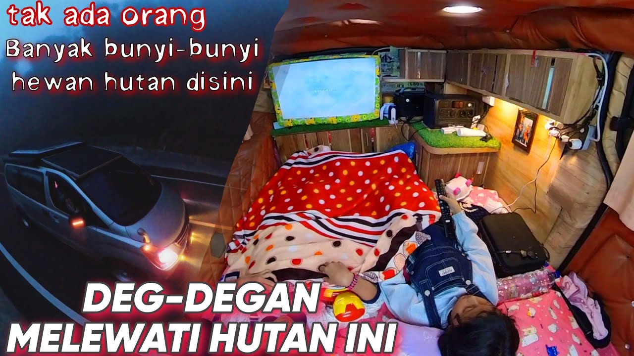 MENJELAJAH HUTAN TERSEPI PAKAI MOBIL CAMPERVAN