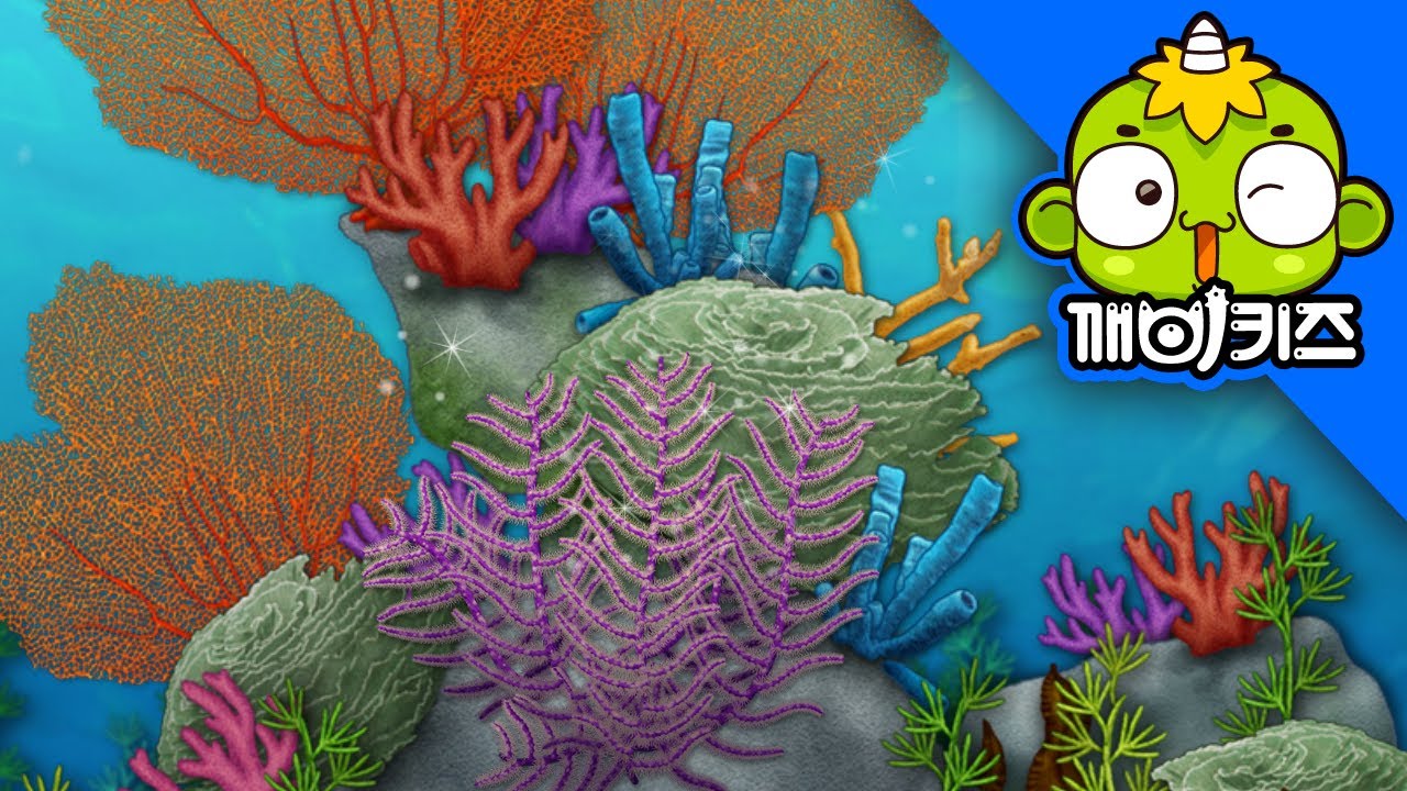 바다의 보석 산호 | 자연관찰 | 과학도감 | 동물탐험 | 깨비키즈 KEBIKIDS
