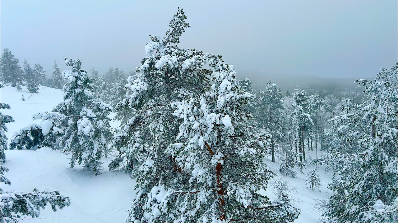 LEVI FINLAND Winter Snow Walk - Levi Zero point to Levi West Point - Levi Gondola ride