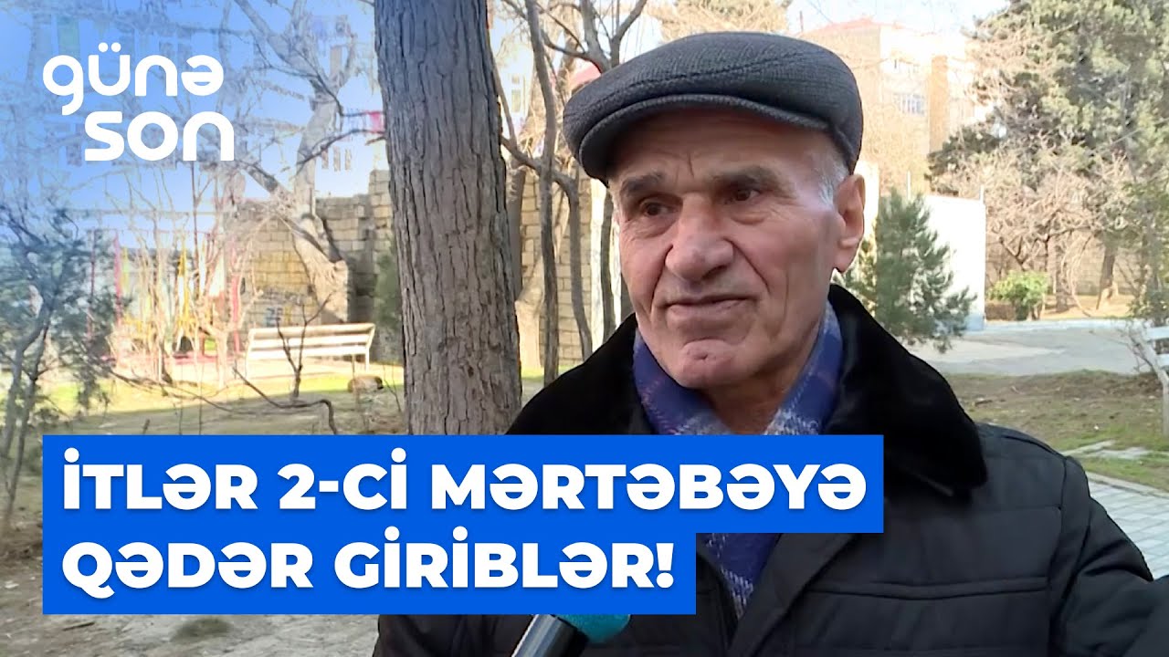 Günə son | Xırdalanda sakinlər sahibsiz itlərdən şikayətlənir