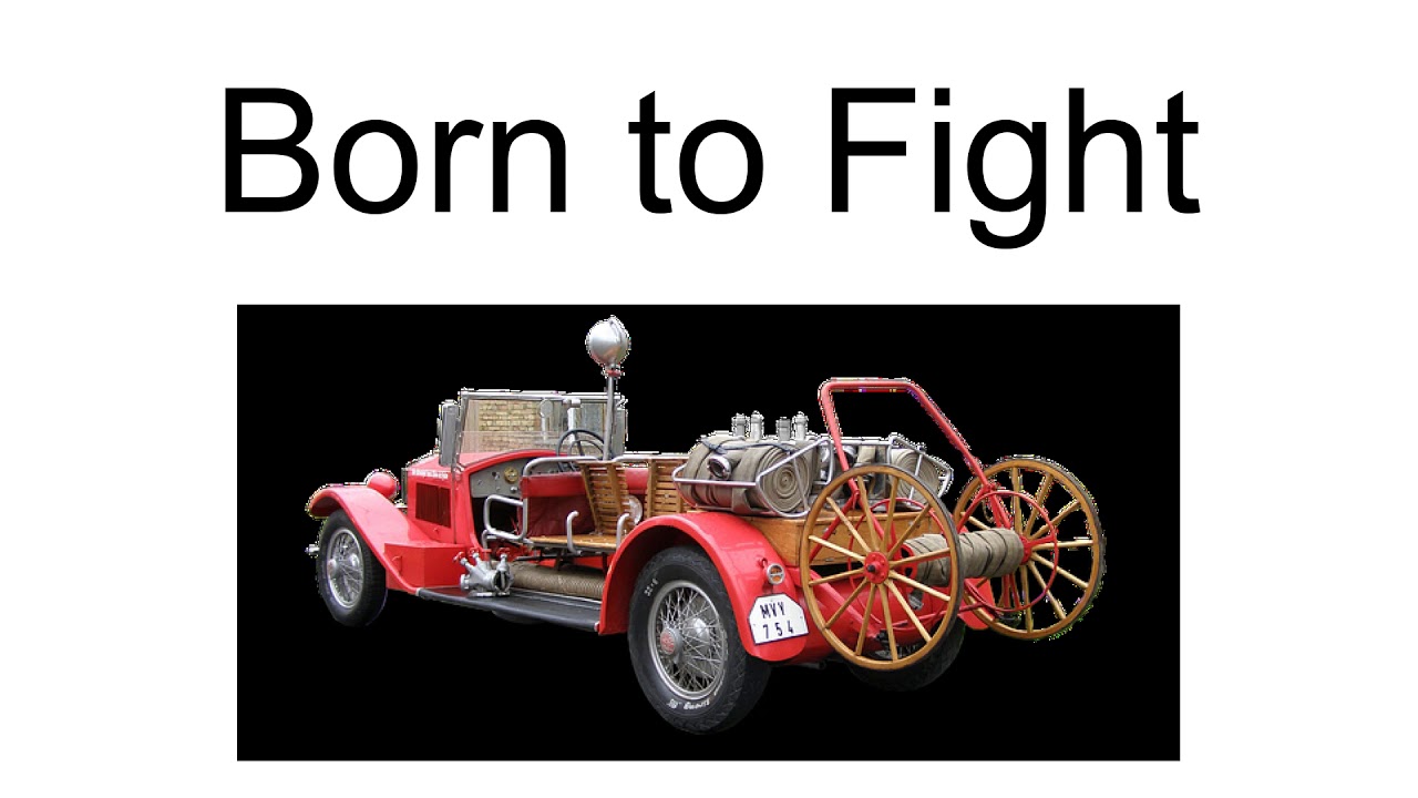 Born To Fight