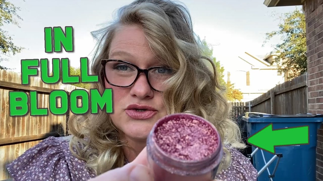 Review of MAC Pigment Rose #ad