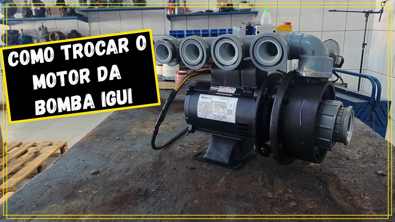 Como Trocar Motor e selo mecânico da Bomba de Piscina Igui