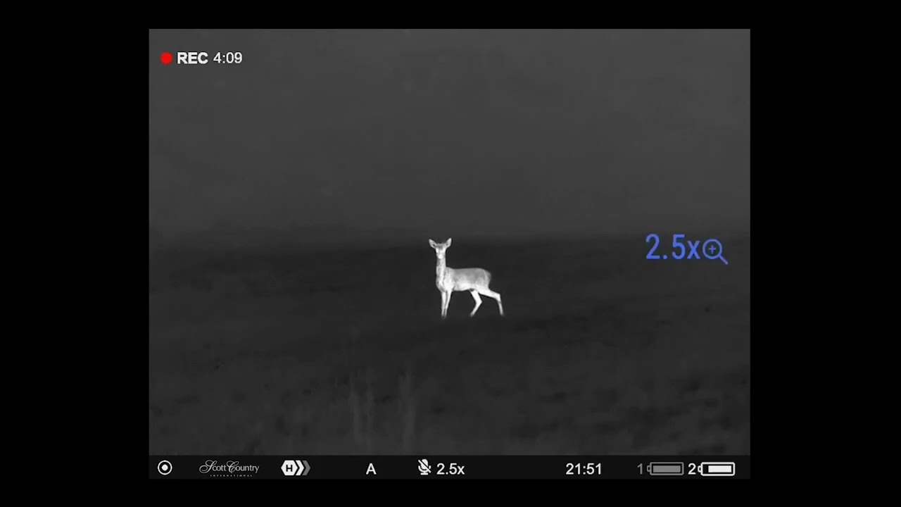 Pulsar Merger LRF XP50 Thermal Binoculars - Is this the best thermal spotter on the market?