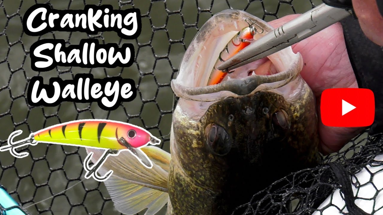 Casting Crank Baits for Walleye