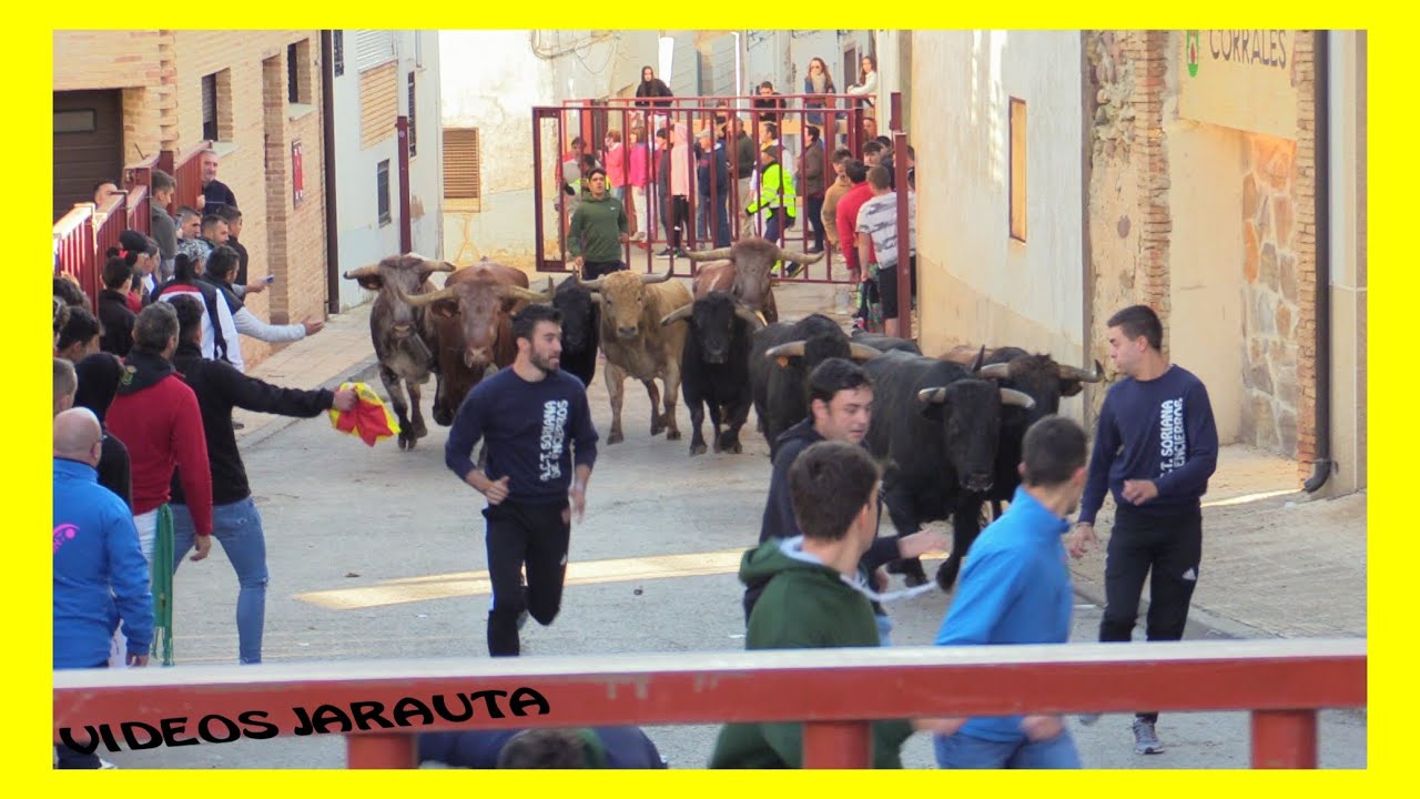 ÓLVEGA ( SORIA ) MATINAL ENCIERRO DE TOROS ( SABADO 17 SEPTIEMBRE 2022 ) TOROPASION