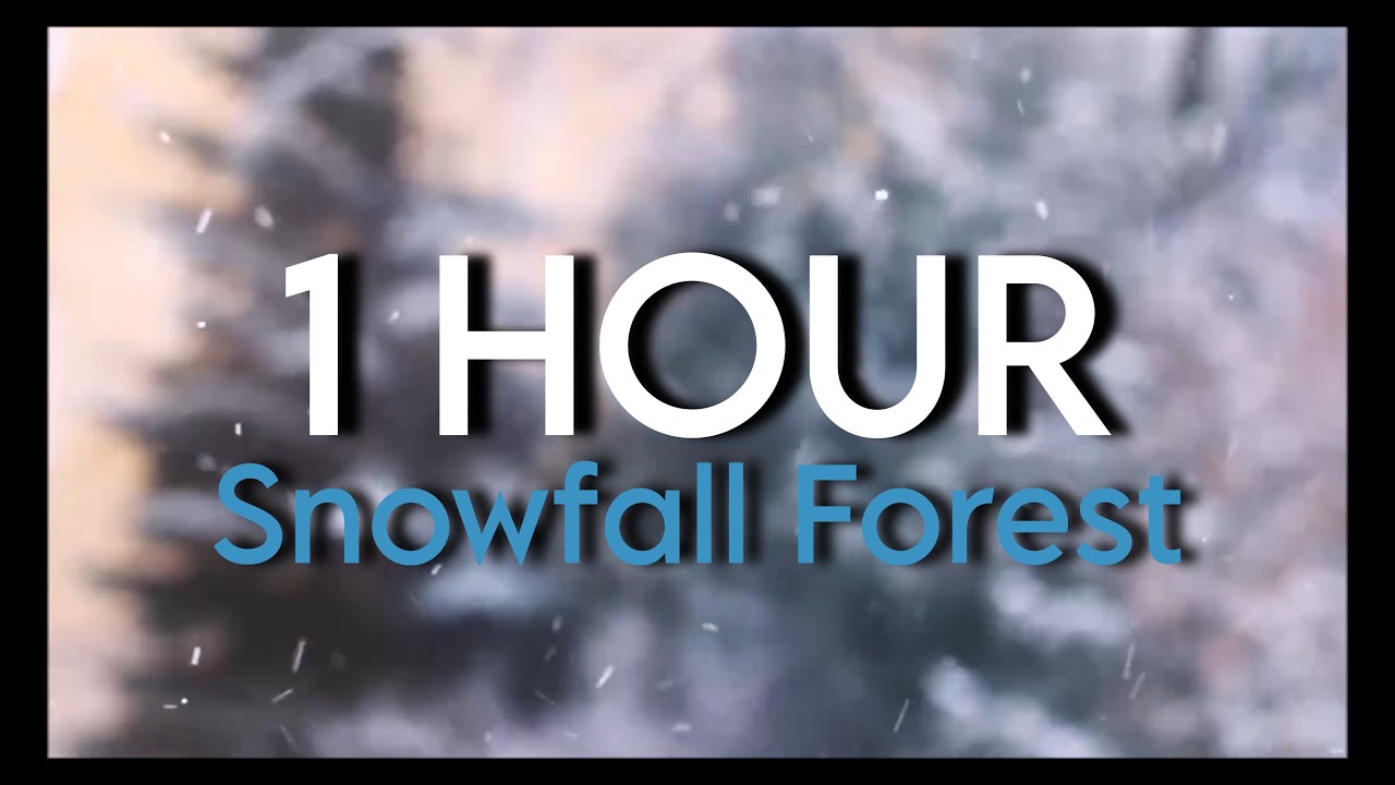 🌨️ 1 HOUR - Snowfall in Winter Forest – Relaxing