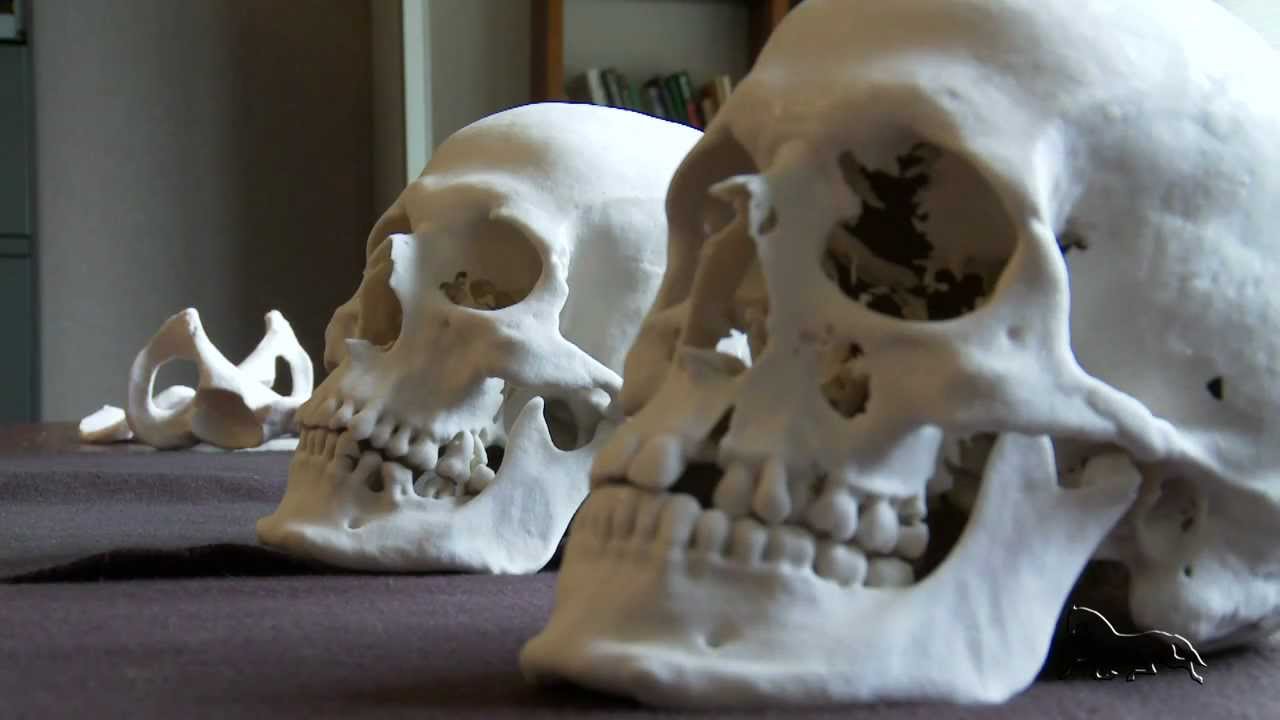 FACES Lab at LSU: A Civil War Mystery