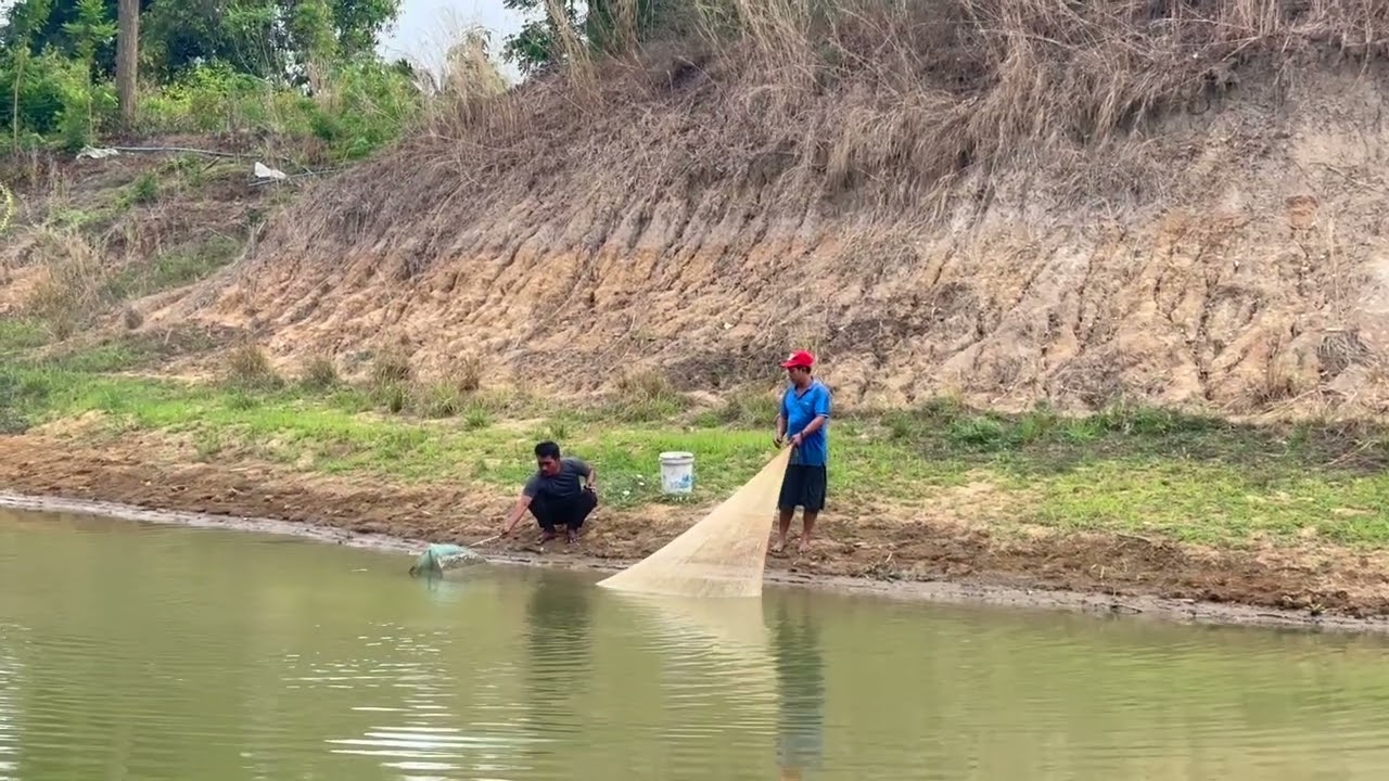 My husband had a very successful day catching plenty of fish from the muddy pond