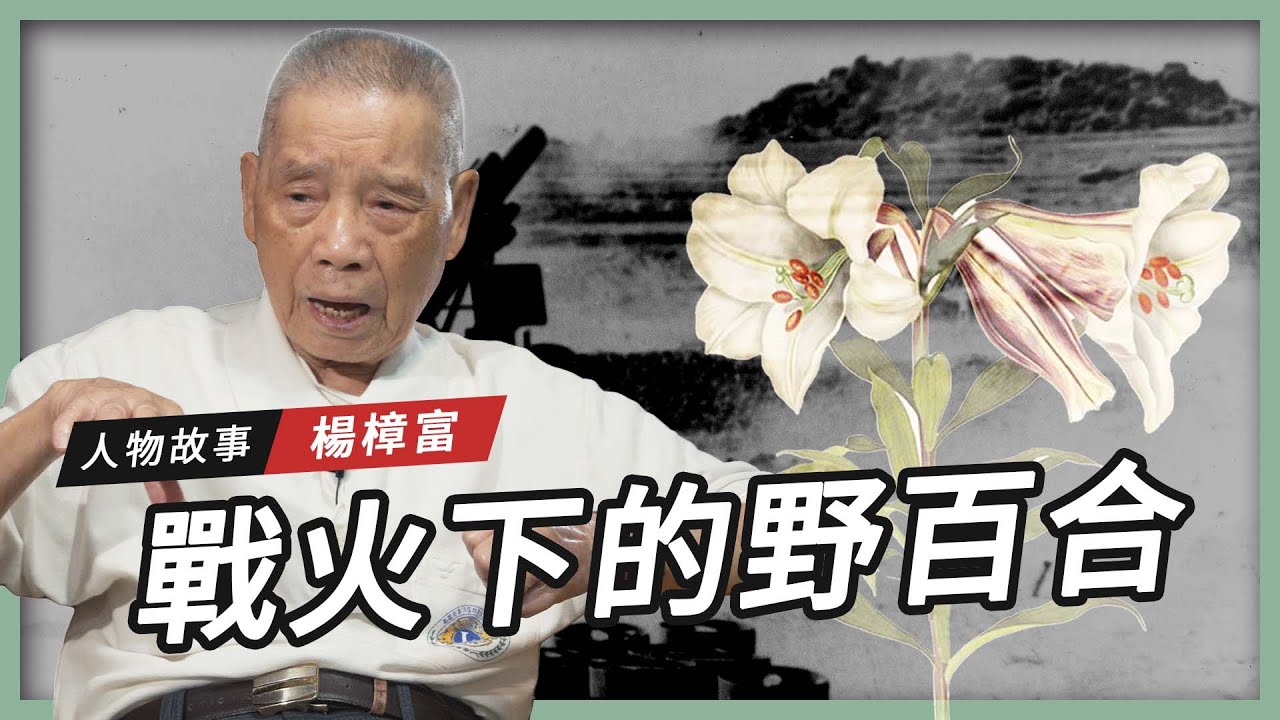 【人物故事】戰火下的野百合｜楊樟富