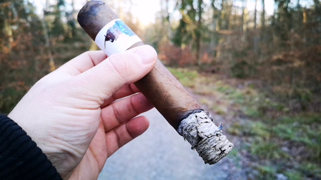 Asylum Cigars Schizo Hercule Zigarren Review