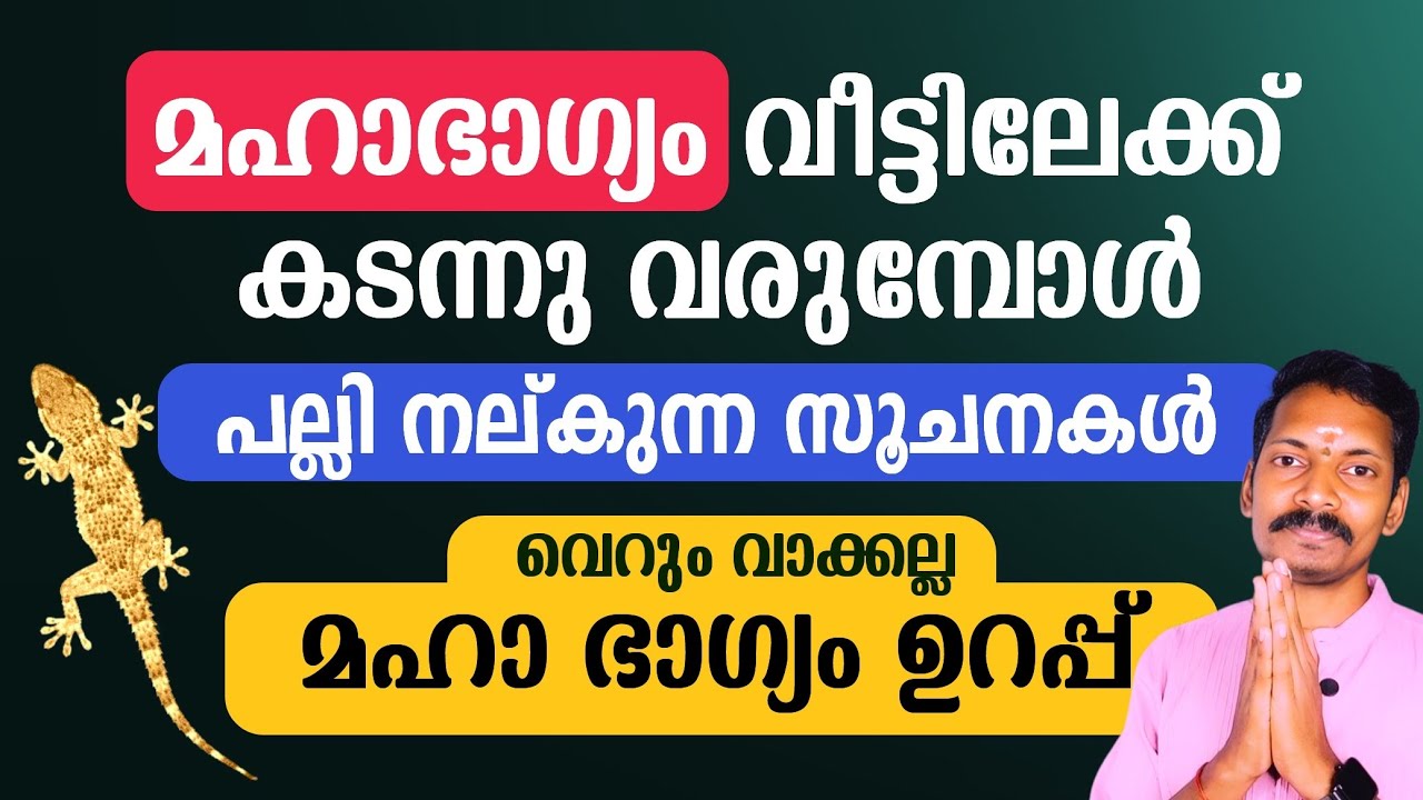 മഹാഭാഗ്യം വീട്ടിലേക്ക് വരുമ്പോൾ പല്ലി നൽകുന്ന സൂചനകൾ ഇതാണ്. ഈ ലക്ഷണം കണ്ടാൽ ജീവിതം രക്ഷപ്പെട്ടു