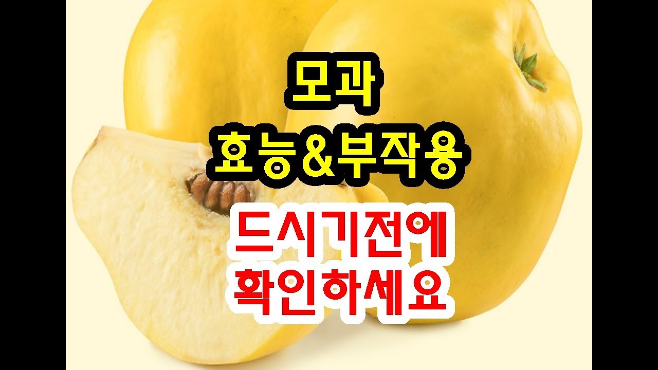 모과효능과 부작용 드시기전에 확인하세요~