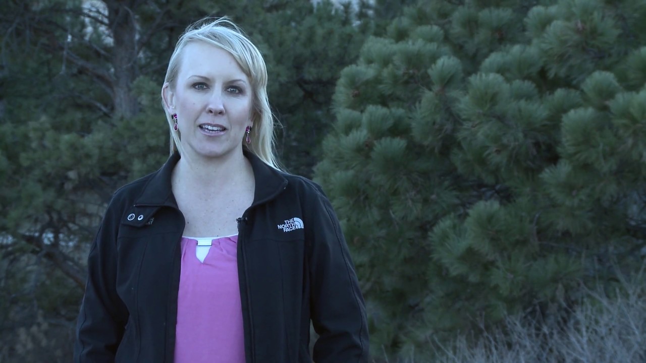 The Living Urn: Customer Feedback on the Patented Tree Burial System