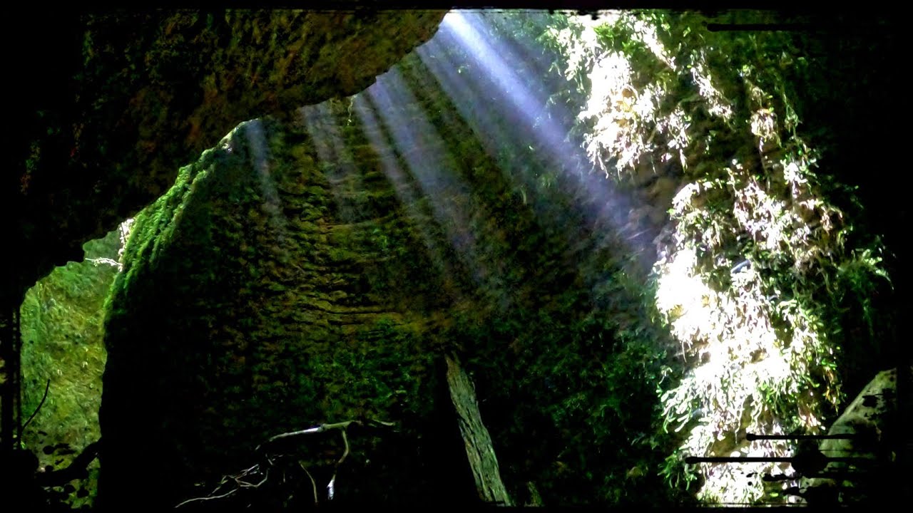 New Zealand's HIDDEN CAVES of the Wild West Coast