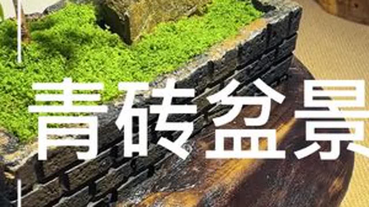 乡愁青砖 ｜漂泊在外的你如果思念故乡，那就用老家的青砖做一个盆景吧#宝藏生活家企划 #手搓一个满分小家 #中式美学 #盆景创意 #乡愁记忆