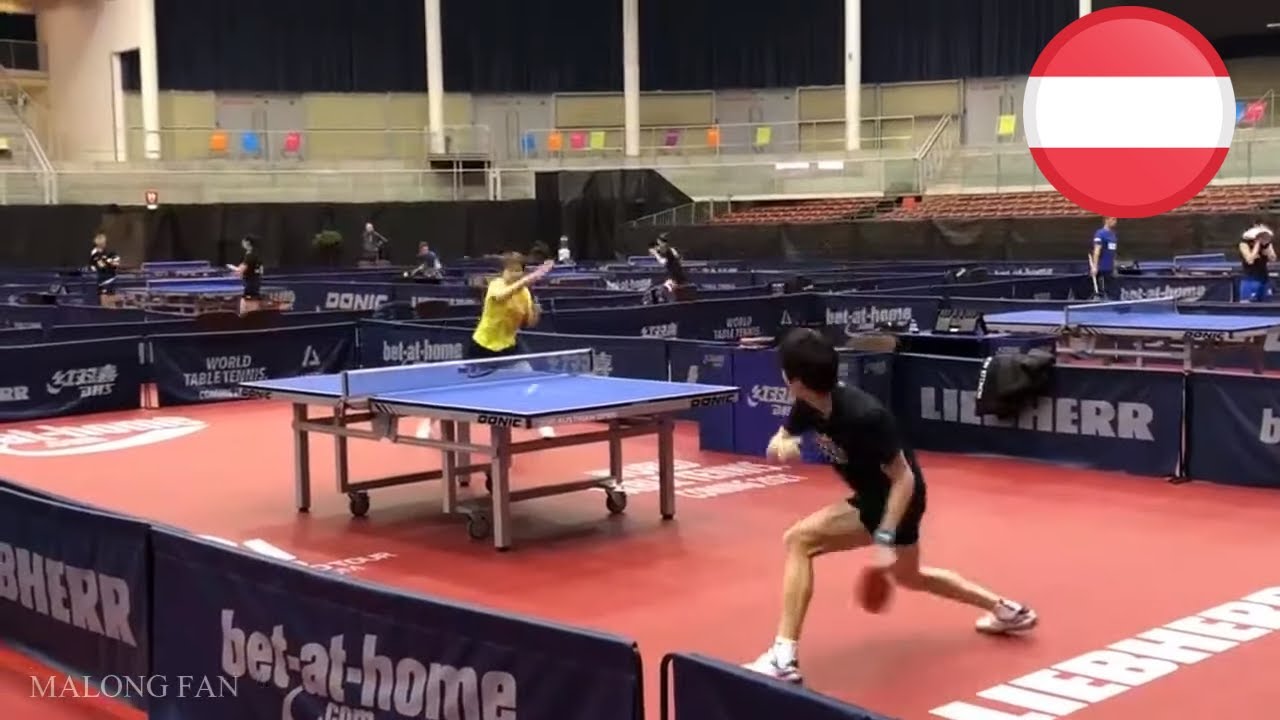 Fan Zhendong, Tomokazu Harimoto, Lin Gaoyuan training in Austrian Open 2019 #2