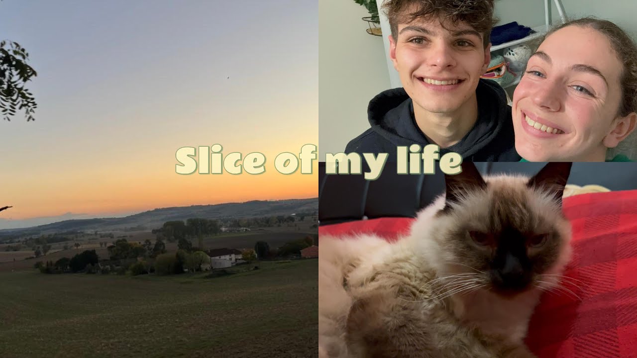 #VLOG 2 : ma semaine est un mélange de chaos et d'amour