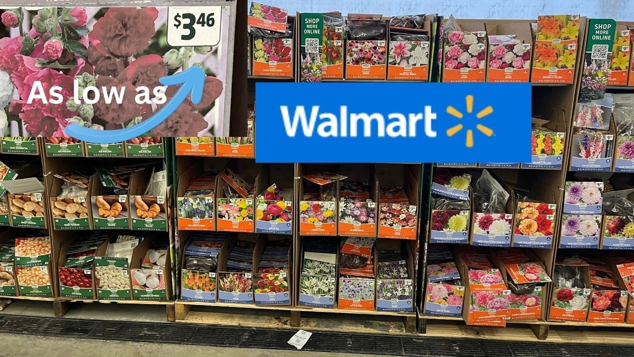 NEW ARRIVALS| Shopping at Walmart for Bulbs and Bare Roots to Plant in Spring