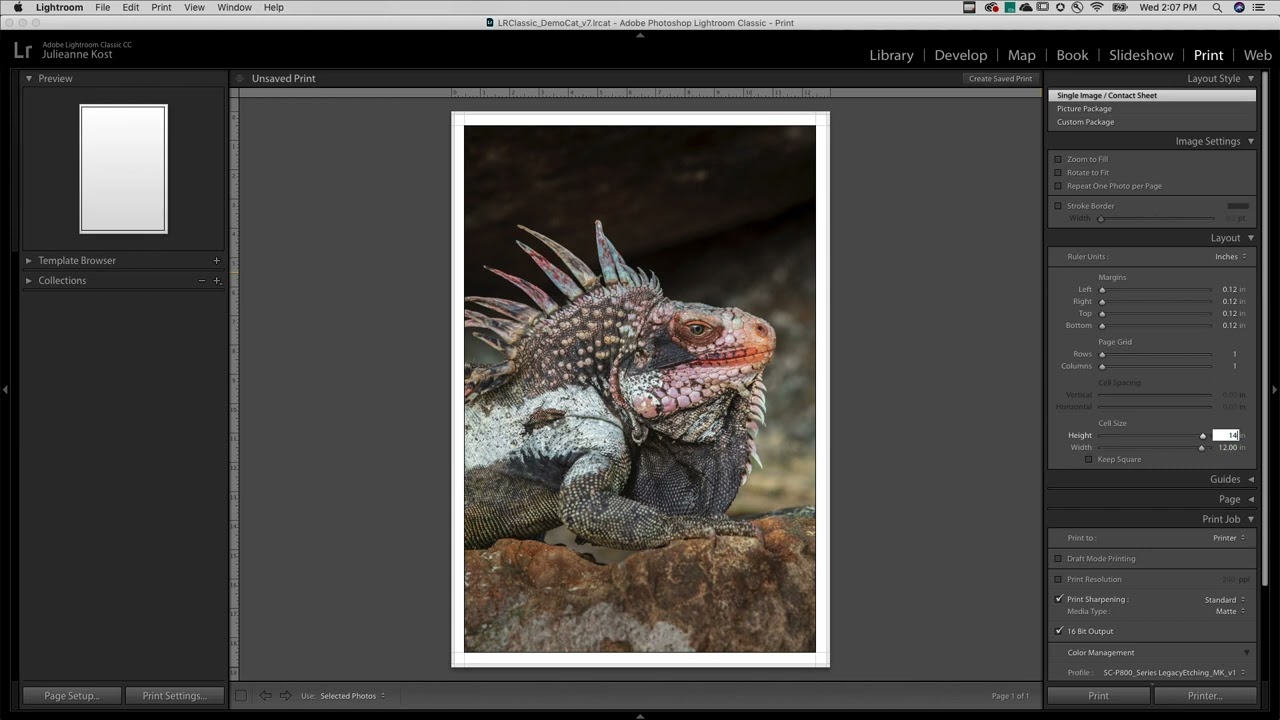 Print a Single Image in Lightroom Classic