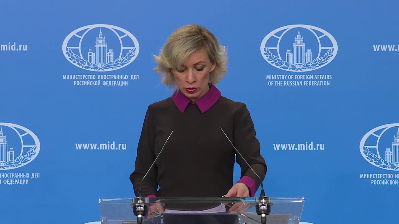 Брифинг М.В.Захаровой, Москва, 4 апреля 2019 года