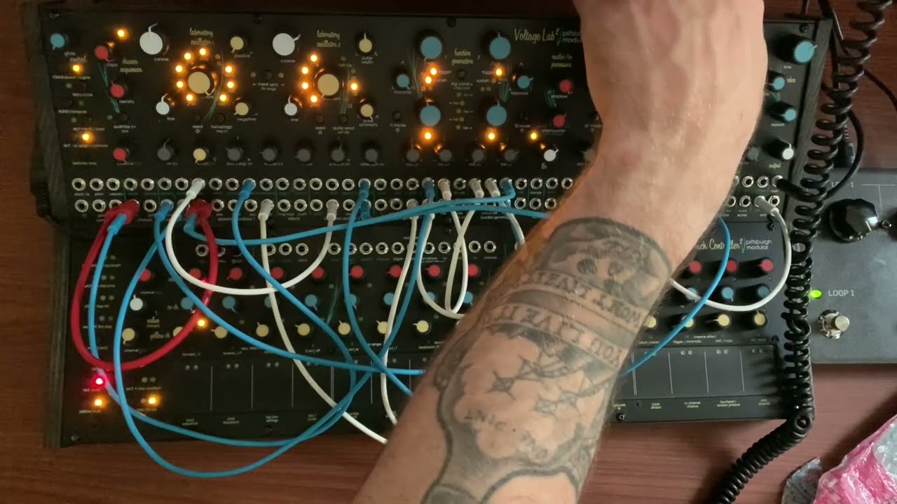 Cleaning Dead Squirrels Out of the Orgone Accumulator - Voltage Lab 2 Psychedelic Freakout