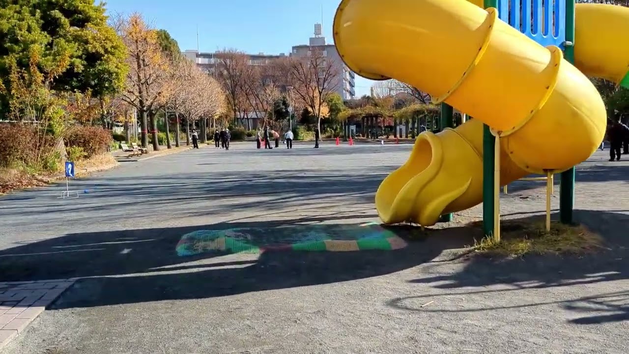 Bird Friends 3