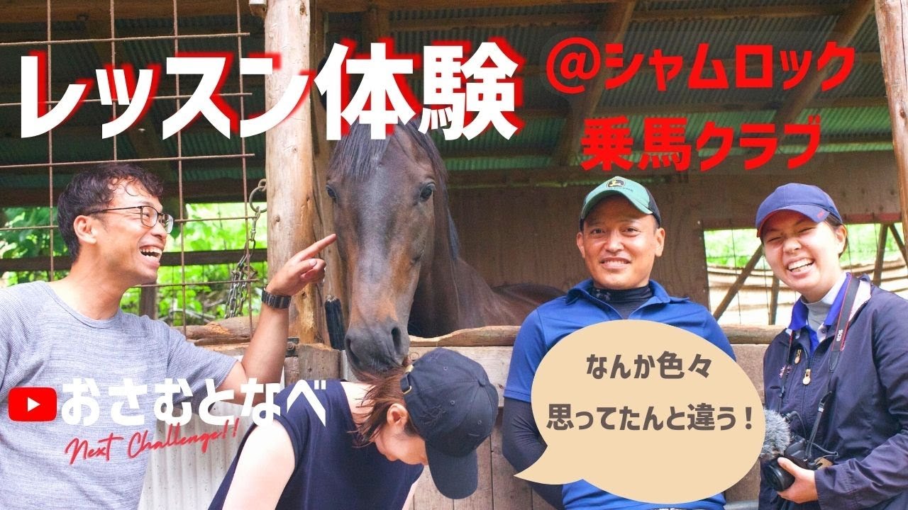 乗馬レッスン体験㊗️お引越しシャムロックさんで細かいことよりできればいい、という考え方のレッスンにこれまでと違う体験駆け足も一味違う
