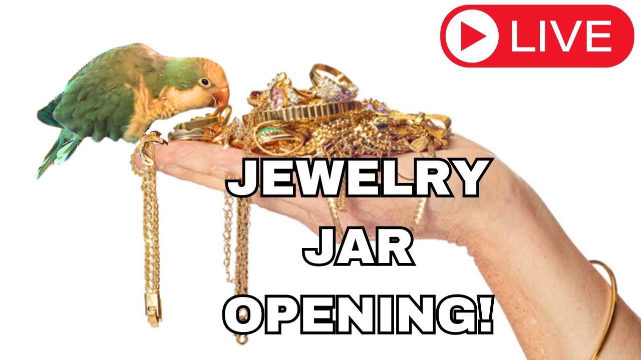 Let's Go Through These Estate Sale Mystery Jewelry Jars!