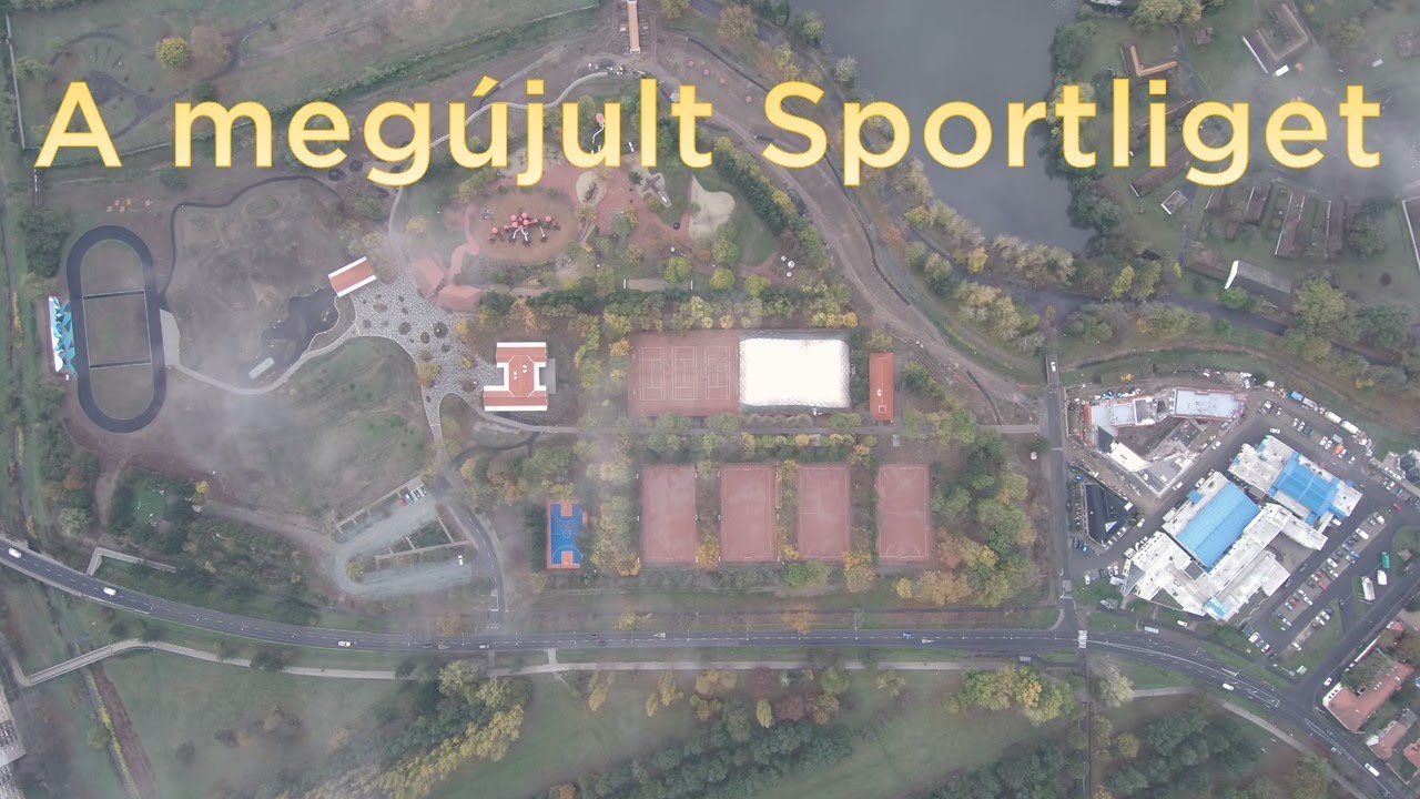 A meg&uacute;jult Sportliget