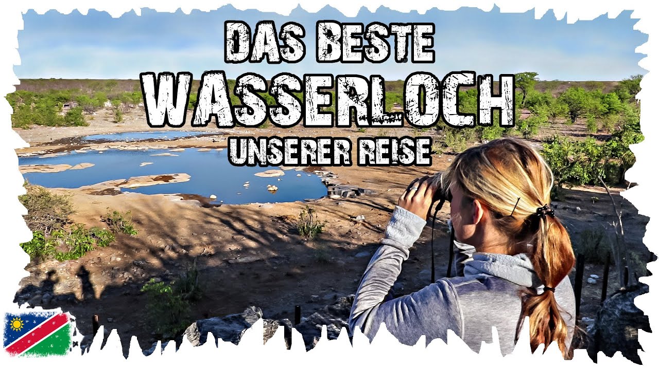 Elefanten und Nashörner am Wasserloch - Halali Camp - Etosha - Namibia Reise #24