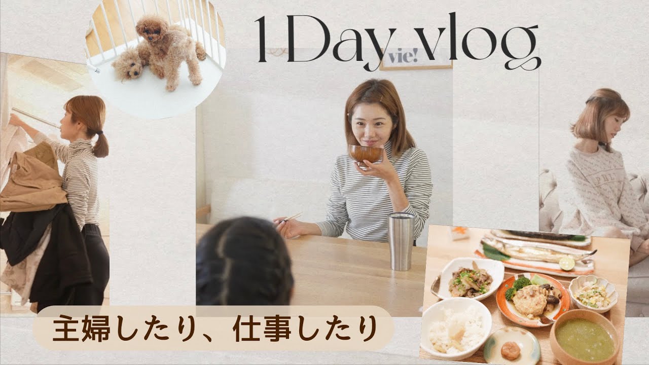 【働く主婦の1日】アパレル撮影/秋の夜ご飯作り🍂🍚【とある日】