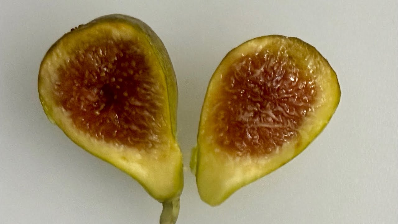 Harry’s Crete – August 16th, along with a taste comparison.