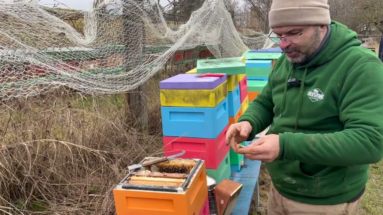 26/26 Předjarní kontrola Miniplusů - těch horších 2/3 z 11.2.26