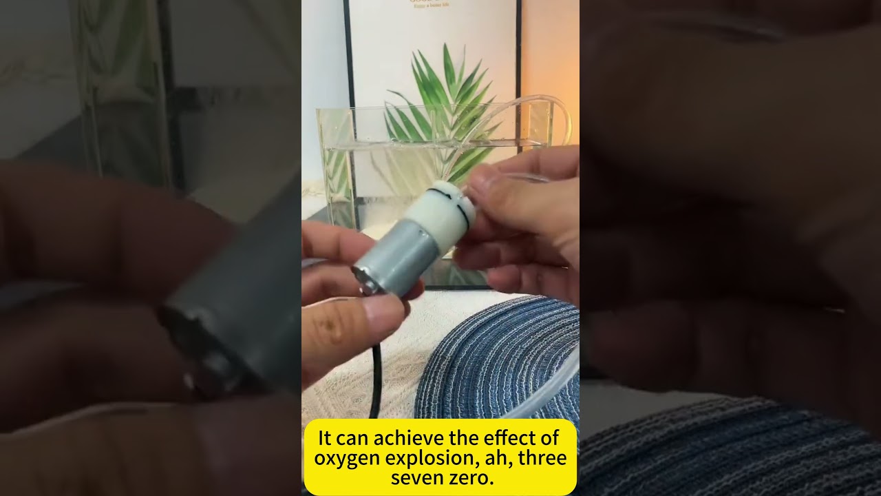 Powerful Bubbles, Zero Noise!  370 Ultra-Quiet Air Pump Oxygenation Test ✨🌬️