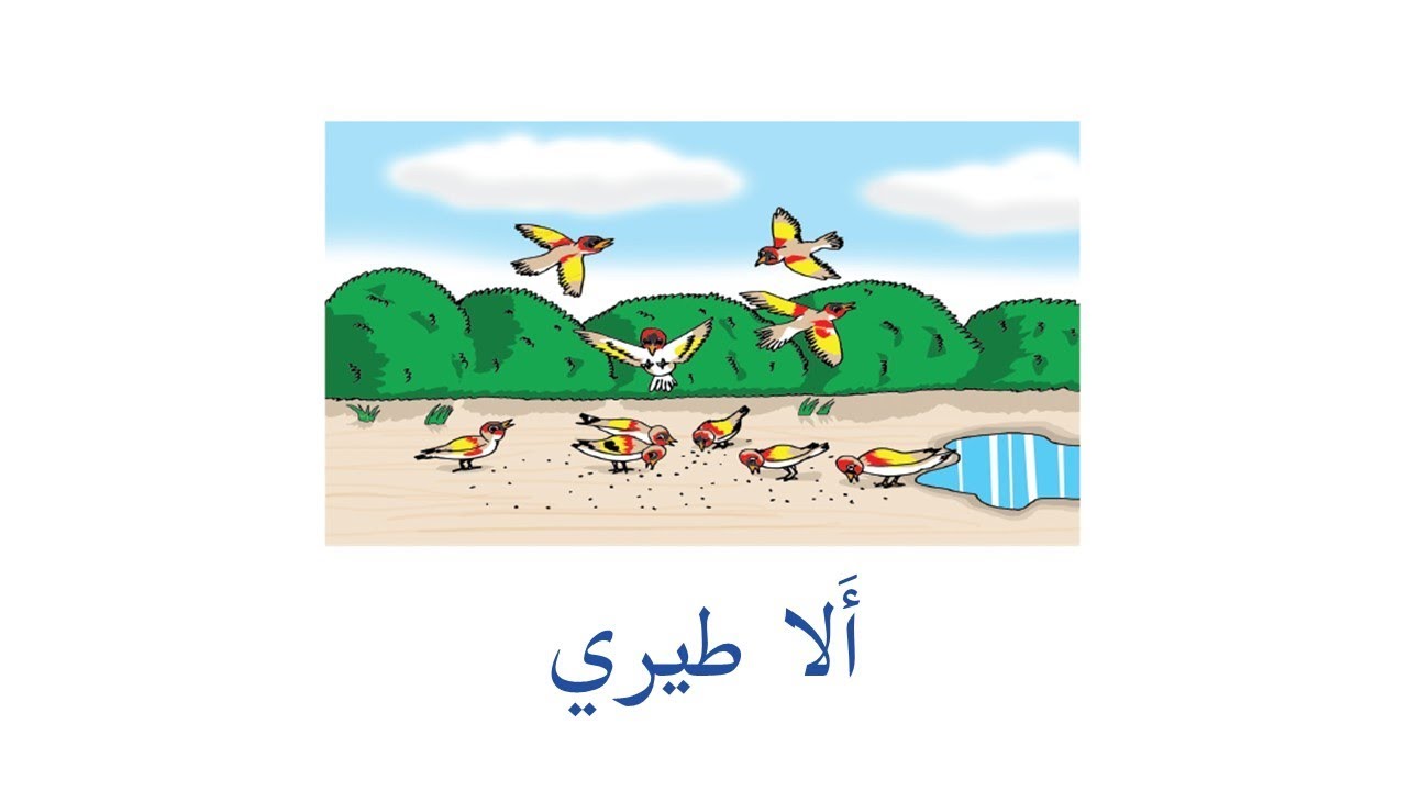 هيا نغني | ألا طيري للصف الثالث ヅ ❤ ♫